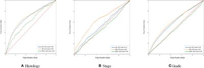 An Applicable Machine Learning Model Based on Preoperative Examinations Predicts Histology, Stage, and Grade for Endometrial Cancer